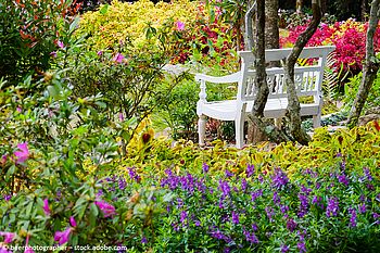 Garden Wildlife Week – Traumhafte Gärten für Mensch und Natur