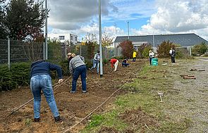 Dann einsäen und harken