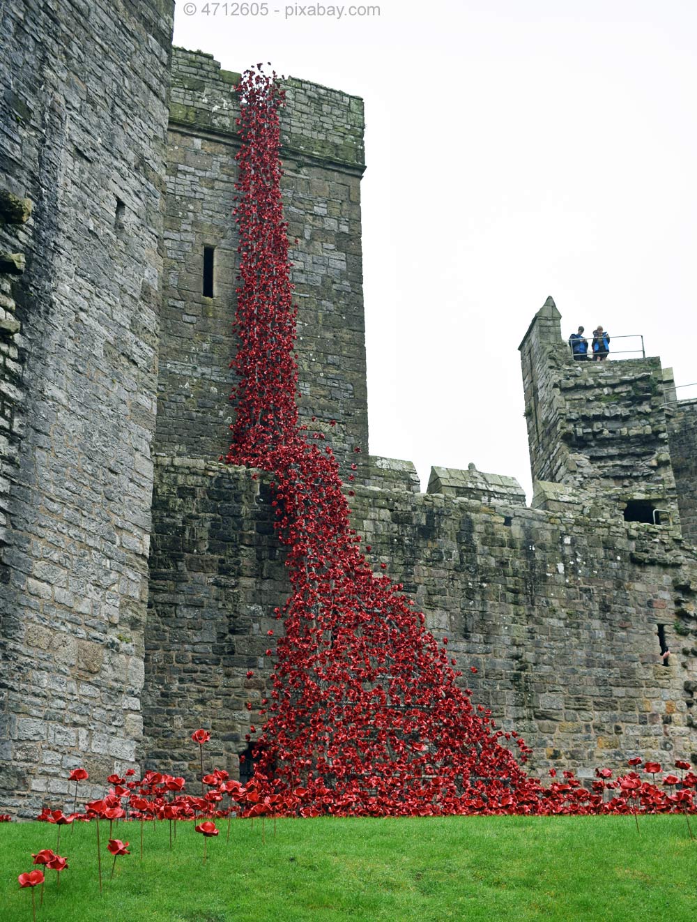 Remembrance Sunday: Blutroter Mohn als Mahnung