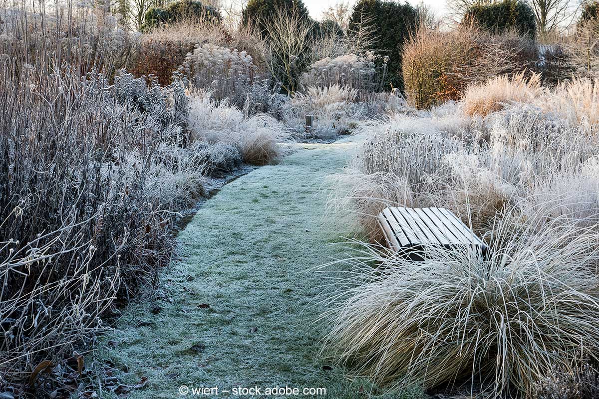 Winterlicher Garten mit einem Grasweg, Staudenpflanzen und einer Sitzbank